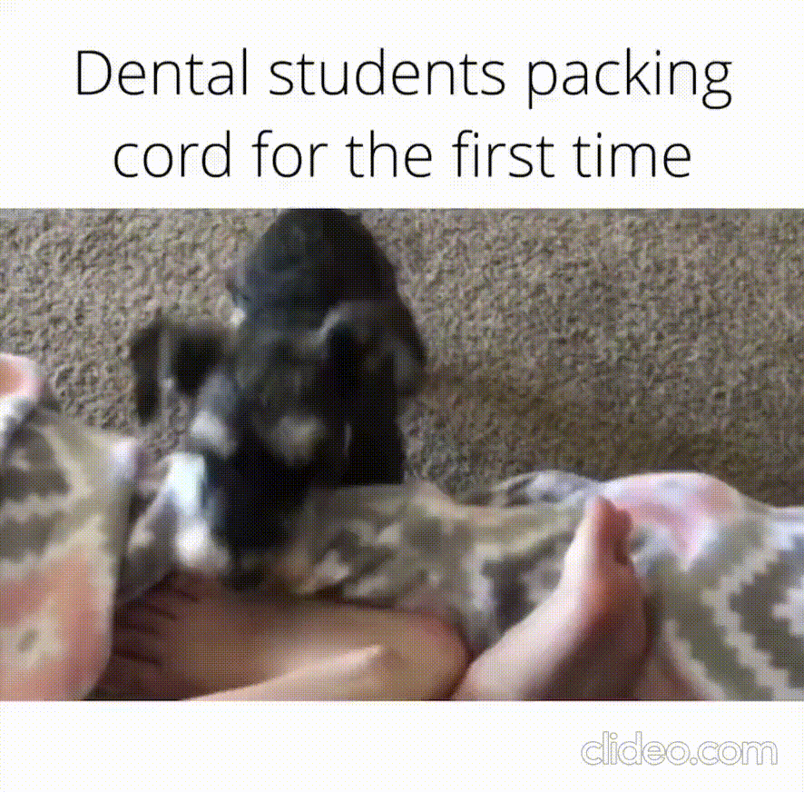 dental-student-first-time-packing-cord